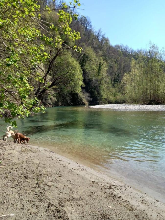 Appartamento La Rondine Roccasparvera Esterno foto